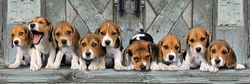 Clementoni Beagles 1000 Teile Puzzle Clementoni-39869 von Clementoni