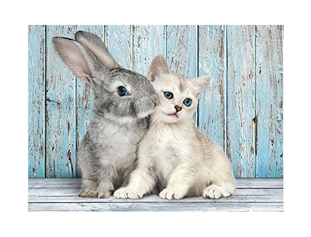 Clementoni Cat and Bunny 500 Teile Puzzle Clementoni-35539 von Clementoni