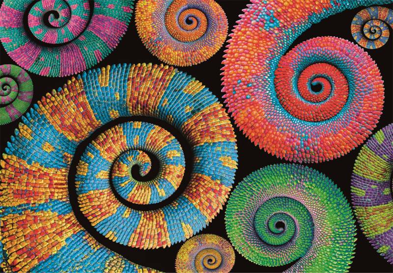 Clementoni Colorboom Curly Tails 500 Teile Puzzle Clementoni-35529 von Clementoni