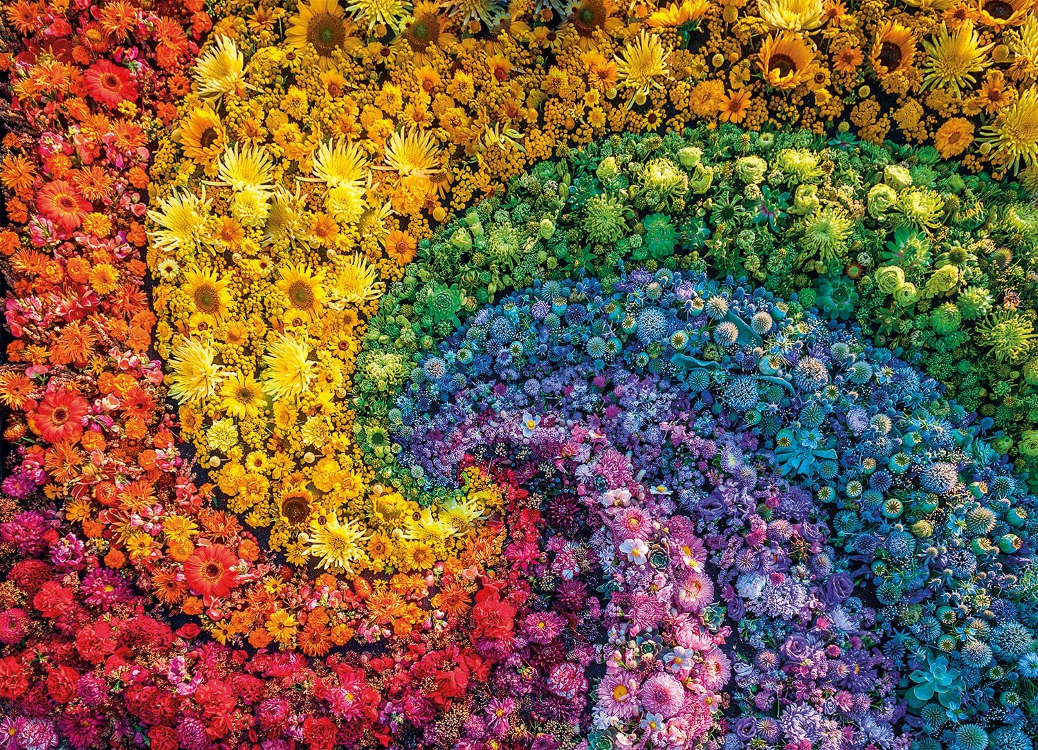 Clementoni Colorboom Whirl 1000 Teile Puzzle Clementoni-39779 Clementoni Colorboom Whirl 1000 Teile Puzzle Clementoni-39779 von Clementoni