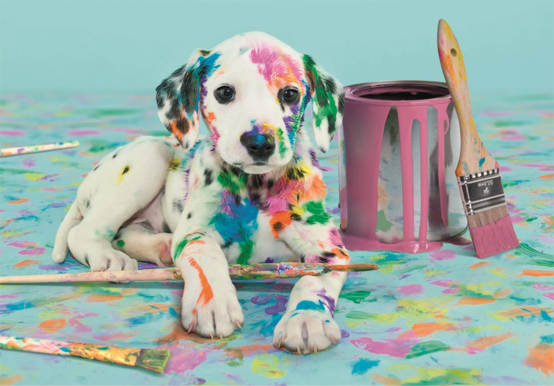 Clementoni Funny Dalmatian 500 Teile Puzzle Clementoni-35545 Clementoni Funny Dalmatian 500 Teile Puzzle Clementoni-35545 von Clementoni