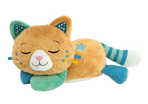 Clementoni | Mein Kätzchen Ronron – musikalisches und vibrierendes Plüschtier für Babys ab der Geburt | inspiriert von der Ronrontherapie | beruhigende Geräusche, weiße Geräusche und Melodien | Clementoni | Mein Kätzchen Ronron – musikalisches und vibrierendes Plüschtier für Babys ab der Geburt | inspiriert von der Ronrontherapie | beruhigende Geräusche, weiße Geräusche und Melodien | von Clementoni