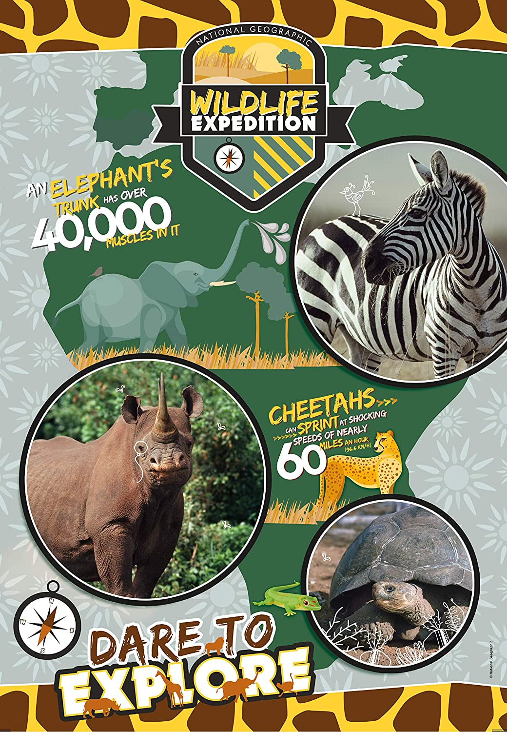 Clementoni National Geo Kids - Wildlife Expedition 180 Teile Puzzle Clementoni-29207 von Clementoni