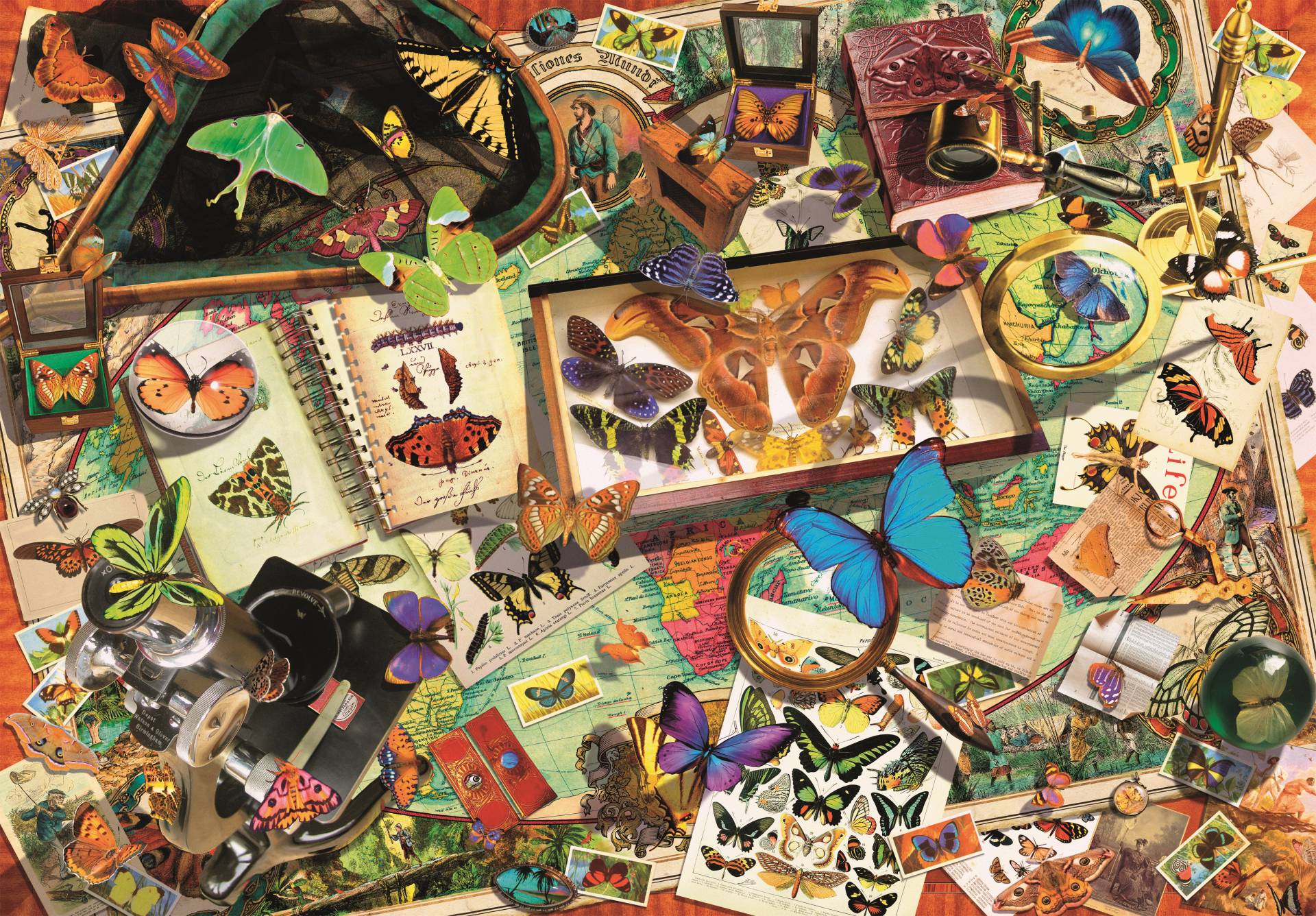 Clementoni Schmetterling-Sammler 500 Teile Puzzle Clementoni-35125 Clementoni Schmetterling-Sammler 500 Teile Puzzle Clementoni-35125 von Clementoni
