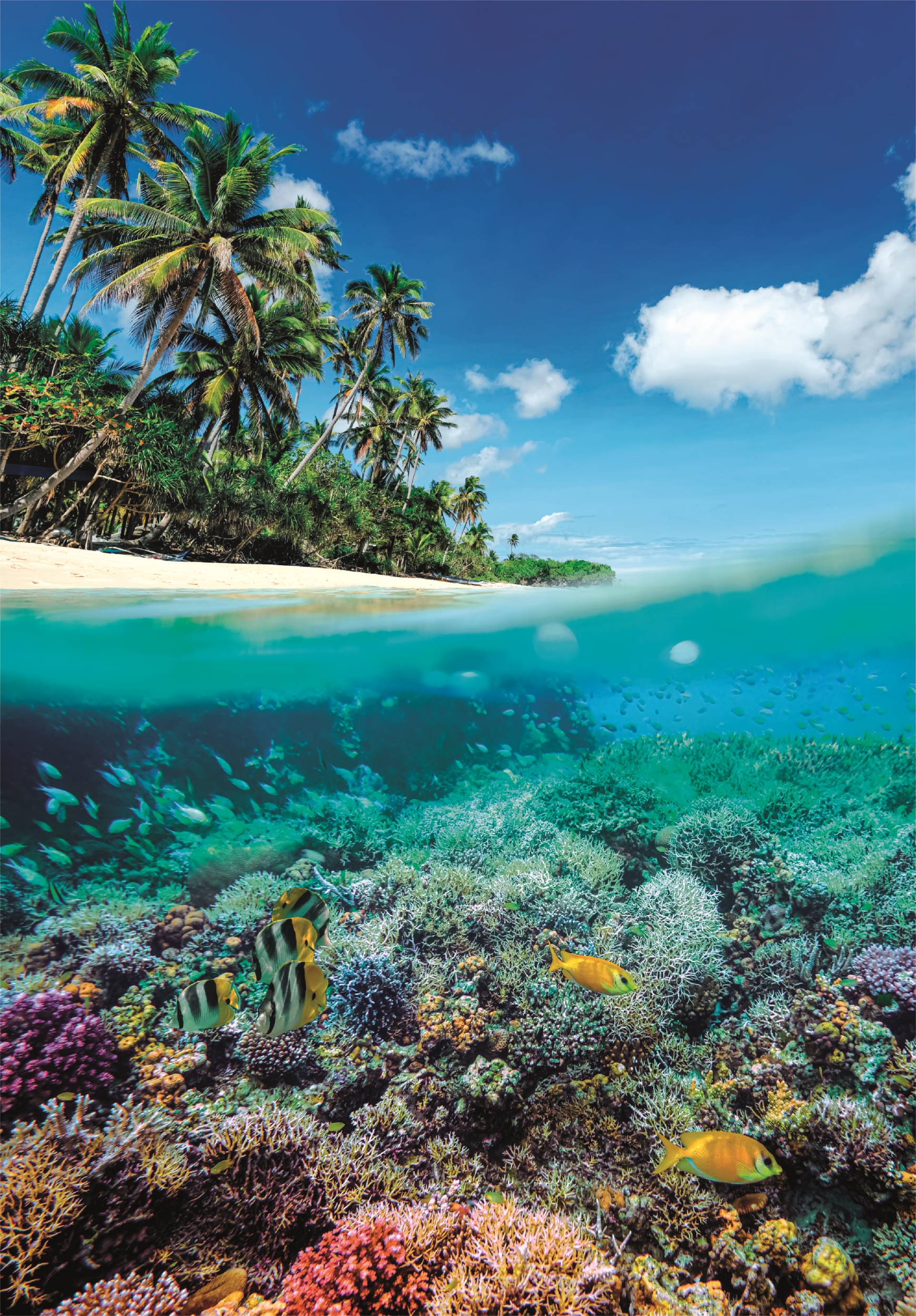 Clementoni Sommerparadies 1000 Teile Puzzle Clementoni-39931 Clementoni Sommerparadies 1000 Teile Puzzle Clementoni-39931 von Clementoni