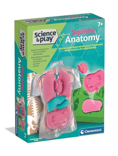 Clementoni Squishy Anatomy Clementoni Squishy Anatomy von Clementoni