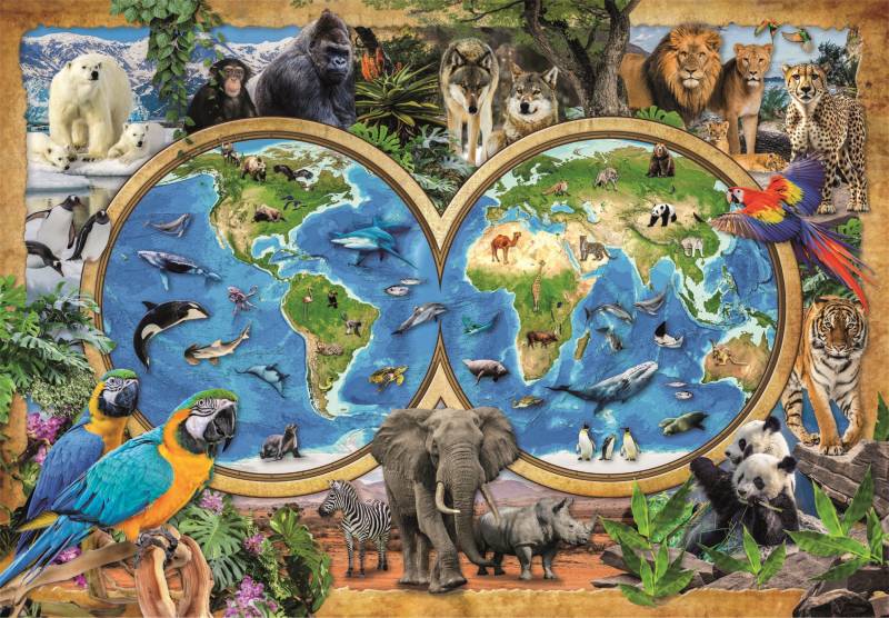 Clementoni The Wonderful Animal World 300 Teile Puzzle Clementoni-21723 von Clementoni