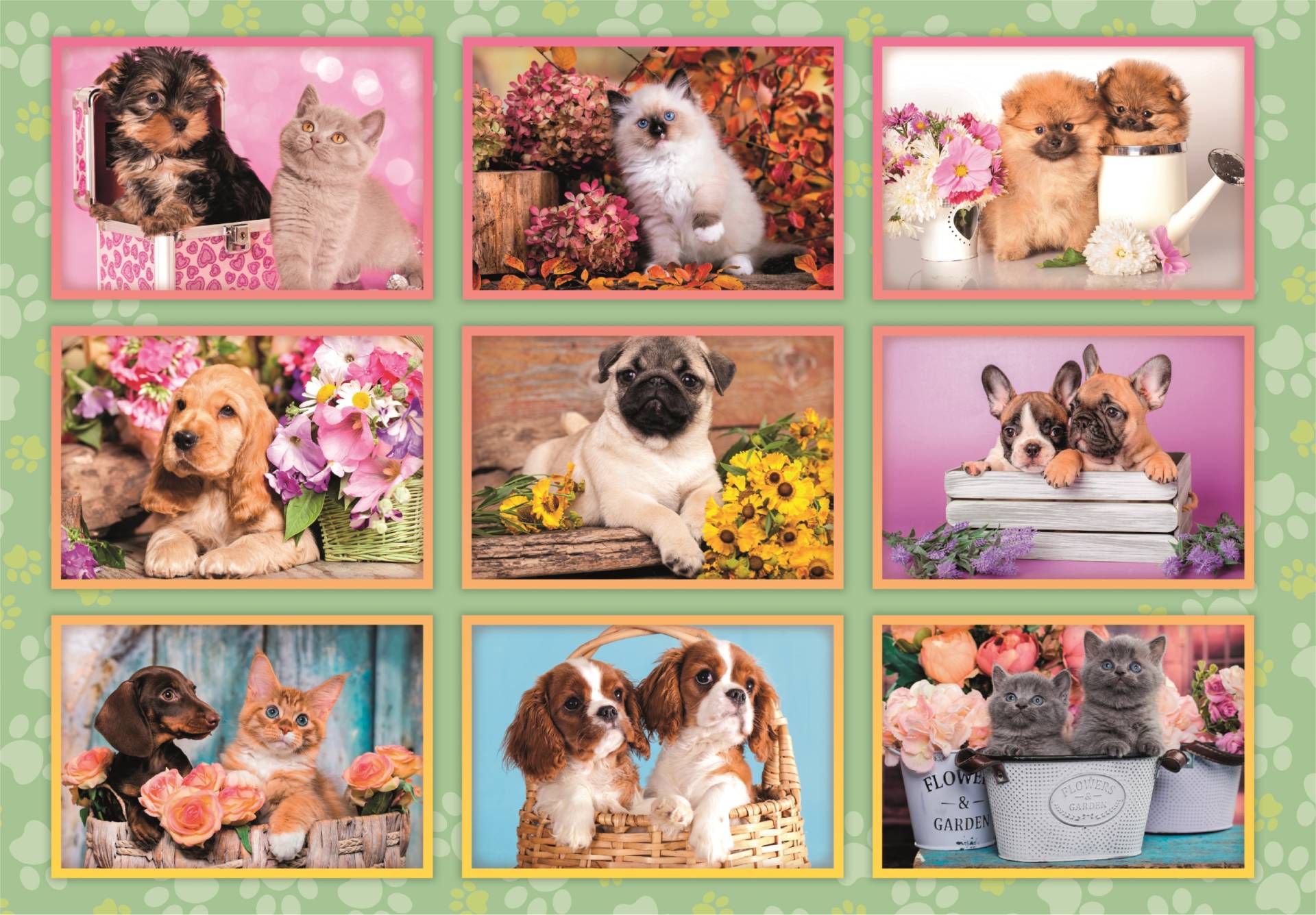 Clementoni Welpen Collage 180 Teile Puzzle Clementoni-29788 von Clementoni