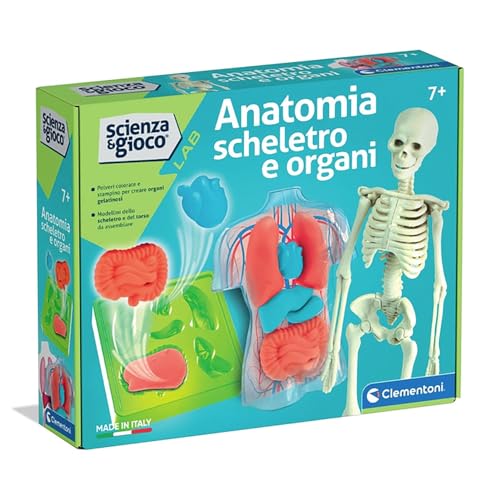 Clementoni Wissenschaft und Spiel Lab: Anatomie Skelett und Organe, Wissenschaftsspiel für Kinder ab 7 Jahren, um den menschlichen Körper zu entdecken, Made in Italy, italienische Sprache, 19414 von Clementoni