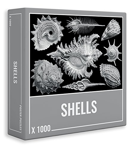 Cloudberries Schwierige Puzzles - Cooles Premium 1000 Teile Puzzle für Erwachsene! (Shells) Cloudberries Schwierige Puzzles - Cooles Premium 1000 Teile Puzzle für Erwachsene! (Shells) von Cloudberries