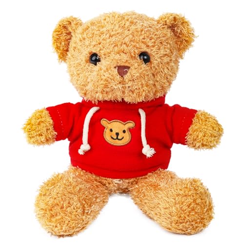 Teddybär Kuscheltier, 30cm Teddy Plüschbär Spielzeug, Teddybär Plüschteddy Kuscheltier, Teddybär Kuscheltier Stofftier Geschenk, Teddy Plüschspielzeug Geburtstagsgeschenk für Jungen und Mädchen von Clvsyh