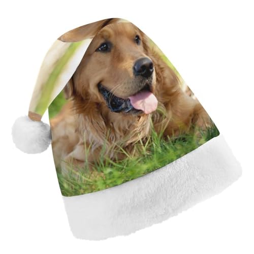Cmagnifico Weihnachtsmütze, Hund Golden Retriever Hut für verschiedene Feiertagsfeiern von Cmagnifico