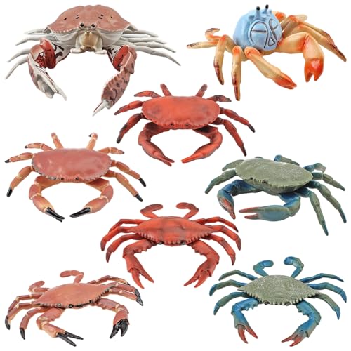 8pcs gefälschte Krabben -Figur verschiedene künstliche und realistische Krabbenspielzeug robuste PVC -Meerestier -Figuren interaktiver Bildungsspielzeuggeschenke für Kinder, Meerestierfiguren 8pcs gefälschte Krabben -Figur verschiedene künstliche und realistische Krabbenspielzeug robuste PVC -Meerestier -Figuren interaktiver Bildungsspielzeuggeschenke für Kinder, Meerestierfiguren von Cndiyald