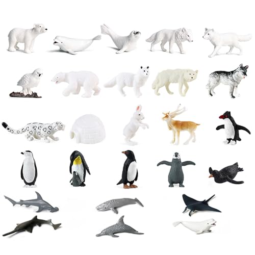 Cndiyald Polartiere Figuren, 26pcs Seetier Spielzeugset, arktische Tiere Figuren Set, Tierspielzeugfiguren Set, Tiere Spielzeug für Kinder Cndiyald Polartiere Figuren, 26pcs Seetier Spielzeugset, arktische Tiere Figuren Set, Tierspielzeugfiguren Set, Tiere Spielzeug für Kinder von Cndiyald