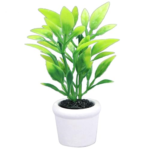 Cndiyald Puppenhaus Miniaturanlage, Puppenhaus Miniatur Bonsai Anlage, Puppenhaus Mini -Pflanzen, Puppenhaus -Topfpflanzen Cndiyald Puppenhaus Miniaturanlage, Puppenhaus Miniatur Bonsai Anlage, Puppenhaus Mini -Pflanzen, Puppenhaus -Topfpflanzen von Cndiyald