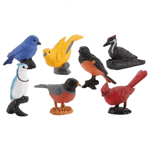 Cndiyald Vogelfiguren, 7pcs Plastik Mini Vogelfigur, Bildung Oriole Robin Kardinalspielzeug für Kinder, Dekorationen von Cndiyald