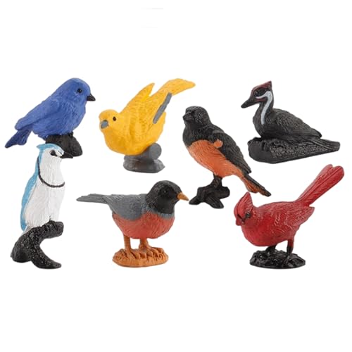 Vogelfiguren, 7pcs Plastik -Mini -Vogel -Figur, Pädagogische Oriole Robin Cardinal Toys für Kinder, Kuchentopper und Dekoration, Spielzeug für Kinder von Cndiyald