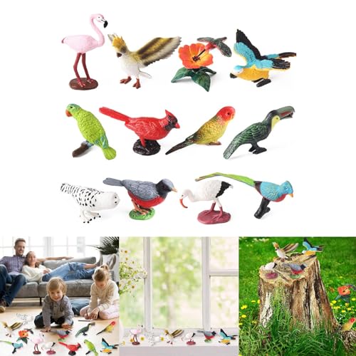 Cnrfeoap Realistische Vogelstatikmodell Modellieren Fest von Cnrfeoap