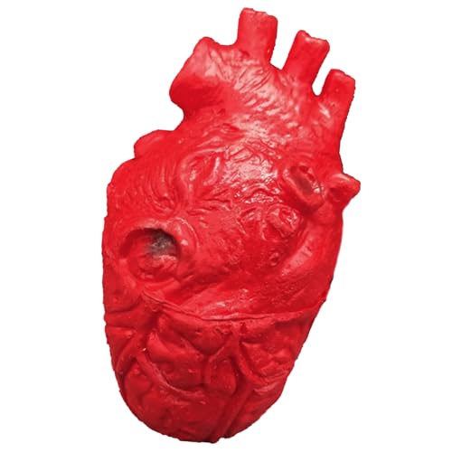 Menschliches Herz-Modell für Halloween-Party-Dekoration und erschreckende schreckliche Körperteil-Simulations-Event-Party-Zubehör, Halloween-Streichartikel von Cnrfeoap