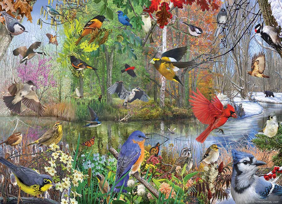 Cobble Hill Birds of the Season 1000 Teile Puzzle Cobble-Hill-40163 Cobble Hill Birds of the Season 1000 Teile Puzzle Cobble-Hill-40163 von Cobble Hill