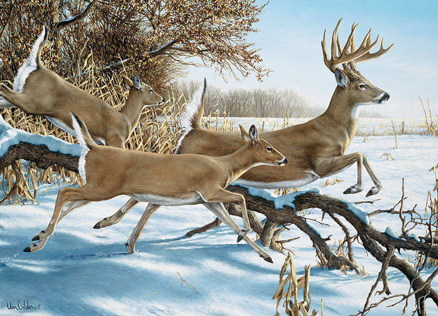 Cobble Hill Breaking Cover 1000 Teile Puzzle Cobble-Hill-40230 Cobble Hill Breaking Cover 1000 Teile Puzzle Cobble-Hill-40230 von Cobble Hill