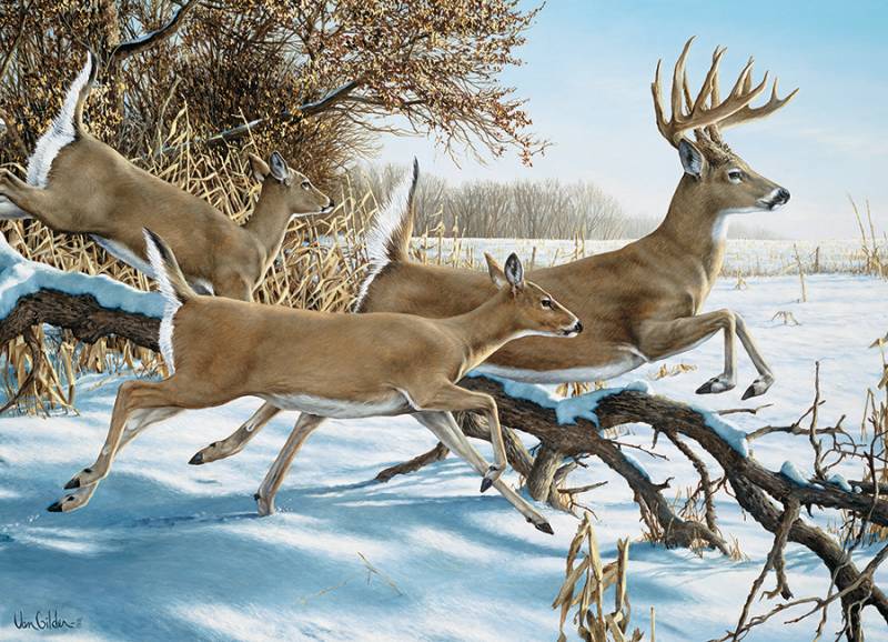 Cobble Hill Breaking Cover 1000 Teile Puzzle Cobble-Hill-40230 von Cobble Hill