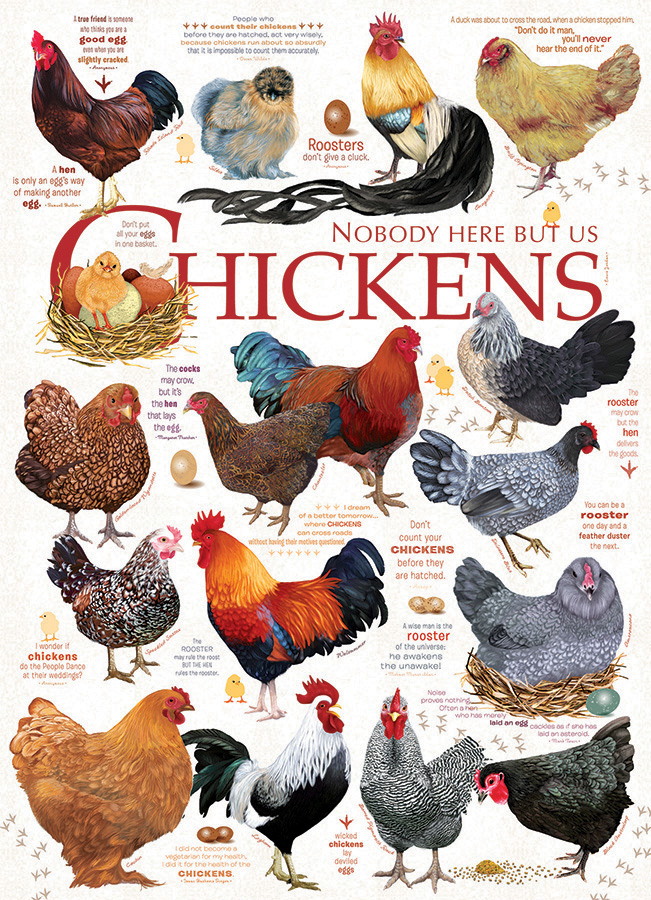 Cobble Hill Chicken Quotes 1000 Teile Puzzle Cobble-Hill-40137 von Cobble Hill