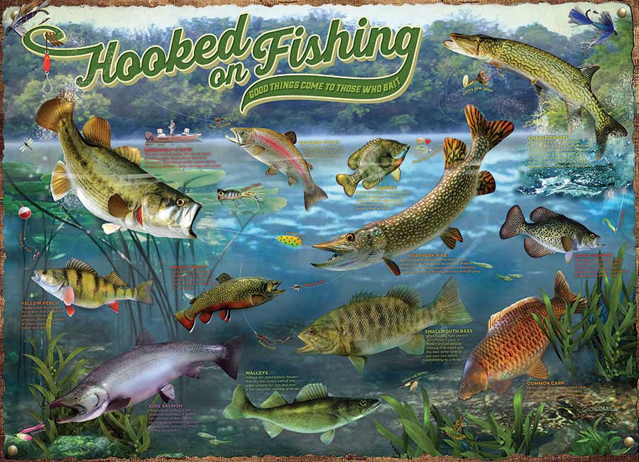Cobble Hill Hooked on Fishing 1000 Teile Puzzle Cobble-Hill-40180 Cobble Hill Hooked on Fishing 1000 Teile Puzzle Cobble-Hill-40180 von Cobble Hill