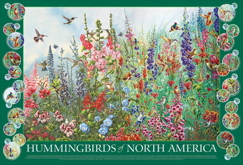 Cobble Hill Hummingbirds of North America 2000 Teile Puzzle Cobble-Hill-49015 von Cobble Hill