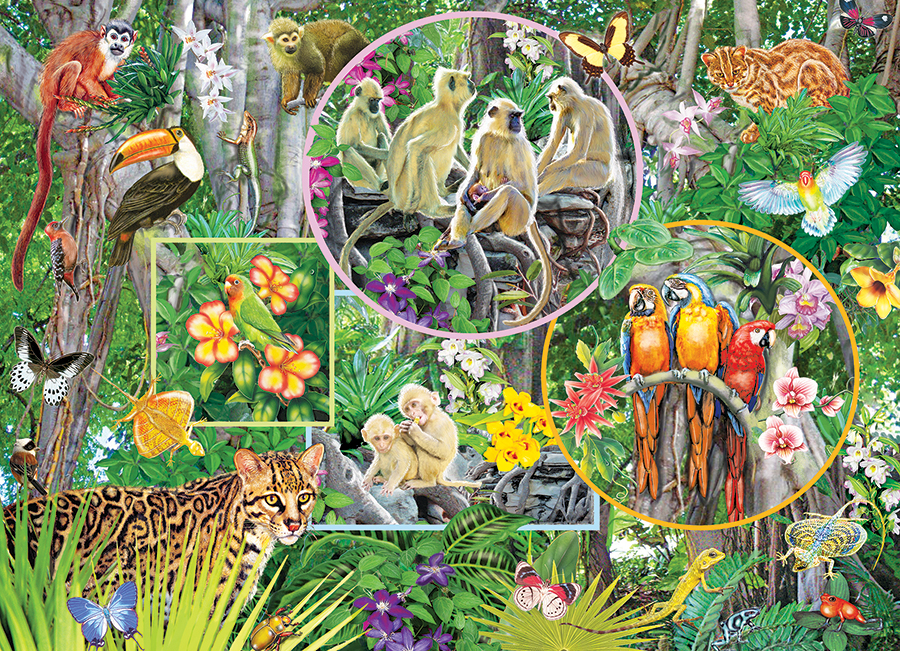 Cobble Hill Rainforest Magic 350 Teile Puzzle Cobble-Hill-47004 Cobble Hill Rainforest Magic 350 Teile Puzzle Cobble-Hill-47004 von Cobble Hill