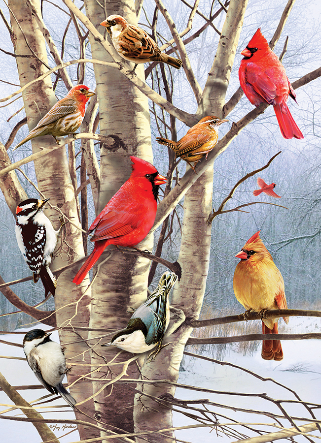 Cobble Hill Wintervögel 1000 Teile Puzzle Cobble-Hill-40248 von Cobble Hill