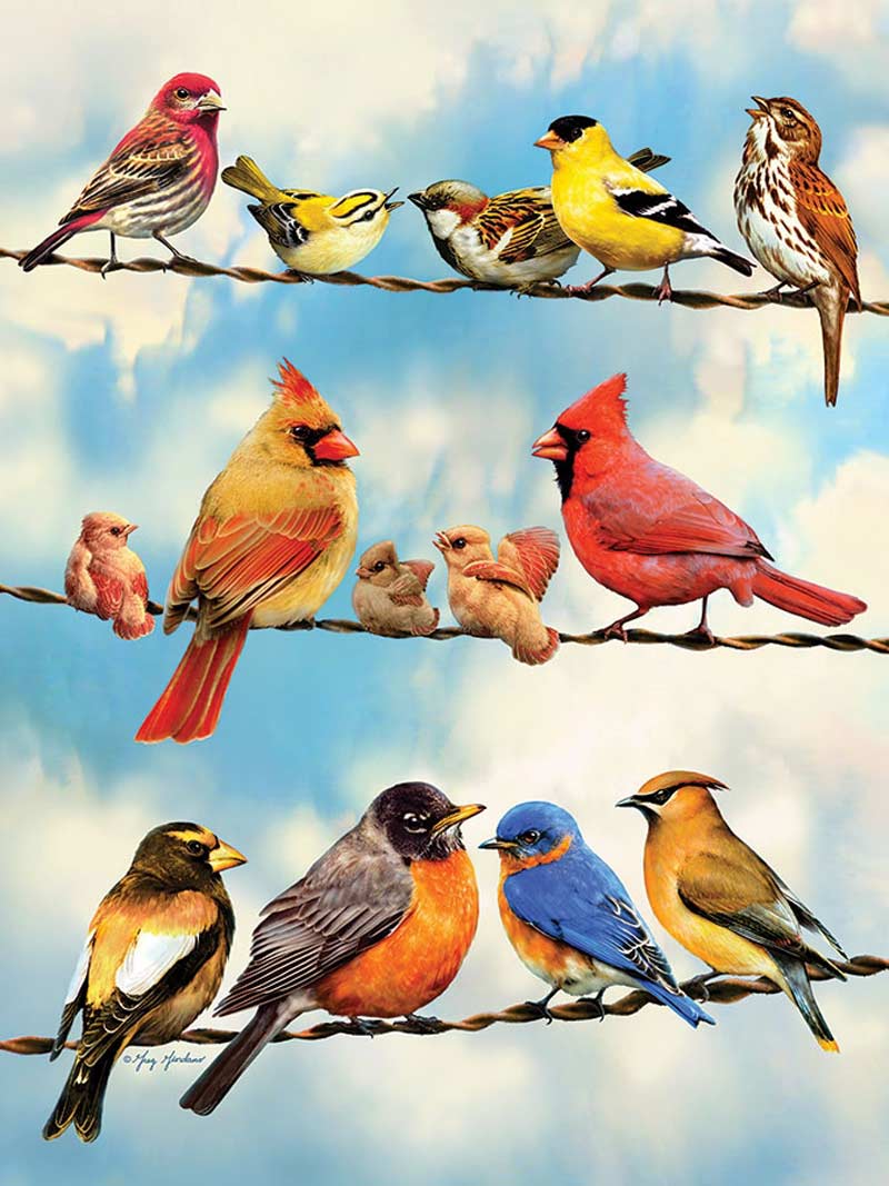 Cobble Hill XXL Teile - Birds on a Wire 500 Teile Puzzle Cobble-Hill-45046 Cobble Hill XXL Teile - Birds on a Wire 500 Teile Puzzle Cobble-Hill-45046 von Cobble Hill