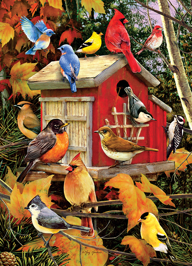 Cobble Hill XXL Teile - Fall Birdhouse 500 Teile Puzzle Cobble-Hill-45061 Cobble Hill XXL Teile - Fall Birdhouse 500 Teile Puzzle Cobble-Hill-45061 von Cobble Hill