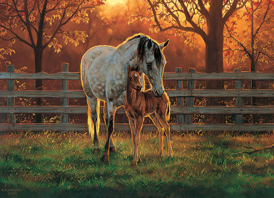 Cobble Hill XXL Teile - Quiet Time 500 Teile Puzzle Cobble-Hill-45002 Cobble Hill XXL Teile - Quiet Time 500 Teile Puzzle Cobble-Hill-45002 von Cobble Hill