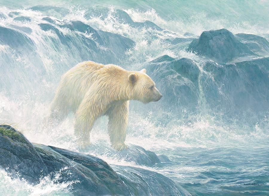 Cobble Hill XXL Teile - Salmon Watch - Spirit Bear 500 Teile Puzzle Cobble-Hill-45026 Cobble Hill XXL Teile - Salmon Watch - Spirit Bear 500 Teile Puzzle Cobble-Hill-45026 von Cobble Hill