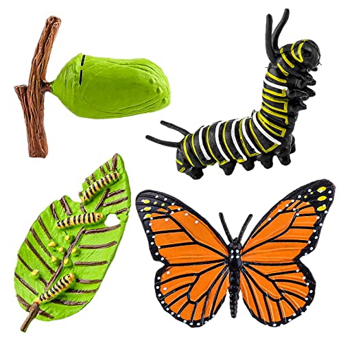 cobee Lebenszyklus Figuren von Schmetterlingen, 4 STÜCKE Tierlebens Wachstumszyklus Modell Realistische Tierfiguren Insektenerziehung Wachstumsstadium Modell Kunststoff Insektenkäfer (Schmetterling) von Cobee