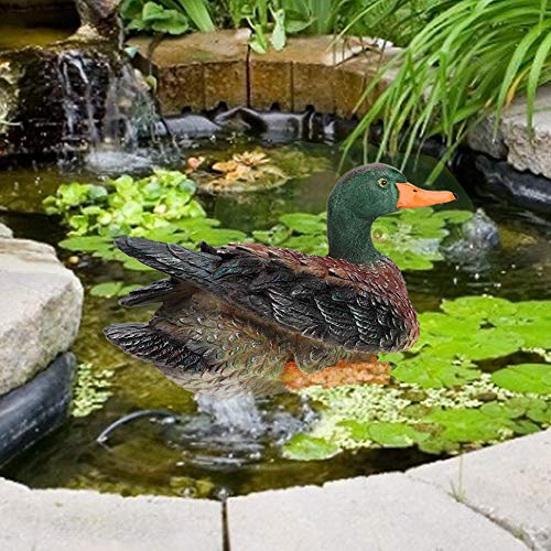 Cocoarm Entengarten Tierdekor Vivid Entenstatue wasserdichte und Robuste Outdoor Yard Ornament mit Lebensechter Design für Gartenpark Landschaftsdekoration Cocoarm Entengarten Tierdekor Vivid Entenstatue wasserdichte und Robuste Outdoor Yard Ornament mit Lebensechter Design für Gartenpark Landschaftsdekoration von Cocoarm