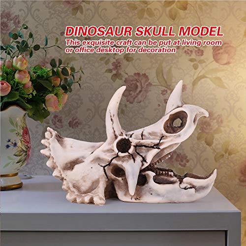 Cocoarm Harz -Triceratops -Schädelmodell: Realistische Simulationsfahrzeug für Office Desktop Display. Dinosaurierdekor für Zuhause oder Büro. von Cocoarm