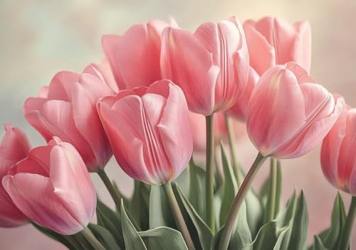 Puzzle 50 Teile Erwachsene Klassische Puzzle Rosa Tulpen Perfekt Um Die ProblemlöSungsfäHigkeiten Zu Verbessern, FöRdert Konzentration und Geduld, für Erwachsene und Kinder Ab 14 Jahren 15x10 cm M-0 von Cohnpjng