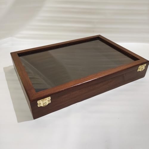 Holz- und Glasdisplay für Schalen, Fossils, Knives oder andere (35 x 24 x H 4 cm) von Coins&More