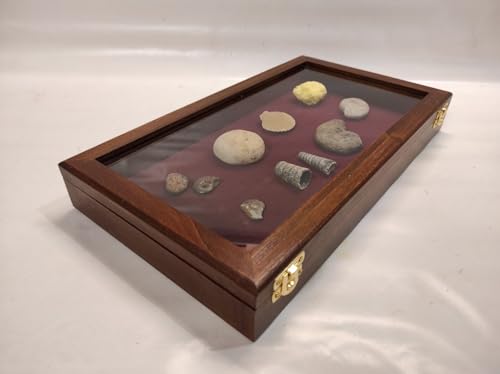 Schatulle aus Holz und Glas für fossile Muscheln, Messer oder andere von Coins&More