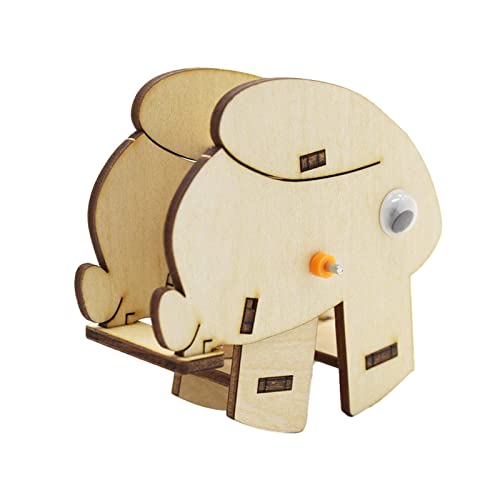 Colcolo Hölzernes Wissenschaftsprojekt DIY-Modellbausatz Lernspielzeug Technologie Kleine Produktion Bauprojekt für Kinder Teenager Colcolo Hölzernes Wissenschaftsprojekt DIY-Modellbausatz Lernspielzeug Technologie Kleine Produktion Bauprojekt für Kinder Teenager von Colcolo