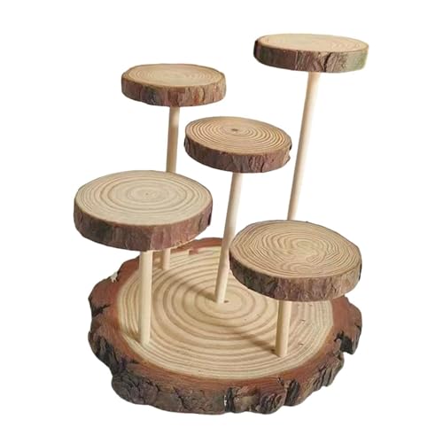 Colcolo Holzsteiger Display Ständer Sammlerstück Multifunktionsabrechnungsregal Speicherregal für Sammlerstücke Kosmetische Figuren Zubehör, 5 Plattformen Colcolo Holzsteiger Display Ständer Sammlerstück Multifunktionsabrechnungsregal Speicherregal für Sammlerstücke Kosmetische Figuren Zubehör, 5 Plattformen von Colcolo