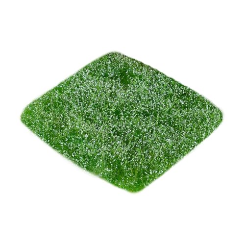 Colcolo Miniatur -Gelände statisches Grasbüschel vielseitige Modellierung, Blumencluster Buschy Modellgras für den BAU, Rasenarchitektur, Blau Colcolo Miniatur -Gelände statisches Grasbüschel vielseitige Modellierung, Blumencluster Buschy Modellgras für den BAU, Rasenarchitektur, Blau von Colcolo