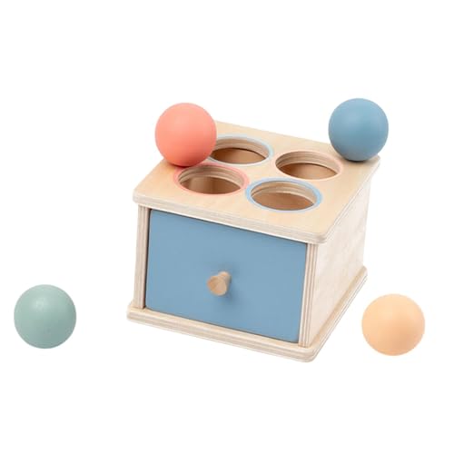 Colcolo Objekt Beständigkeit Box Spielzeug, Farbform sortieren Handaugenkoordination Bildung Holz Matching Spielzeug für Jungen Mädchen Kinder, Pitching -Box von Colcolo