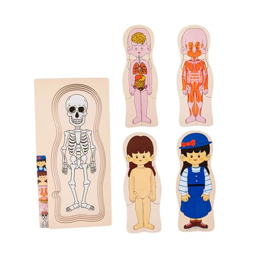 Colcolo Puzzle-Spielzeug zum menschlichen Körper, Entwicklungsspielzeug, Spielzeug zum menschlichen Skelett für Kinder im Alter von 3–6 Jahren, Mädchen von Colcolo