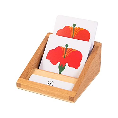 Colcolo Realisches Tierwachstums-Lebenszyklus-Spielset Lern-Action-Figur Modell Frühes pädagogisches Klassenzimmer-Spielzeug für 4-8 Jahre, Blume Colcolo Realisches Tierwachstums-Lebenszyklus-Spielset Lern-Action-Figur Modell Frühes pädagogisches Klassenzimmer-Spielzeug für 4-8 Jahre, Blume von Colcolo