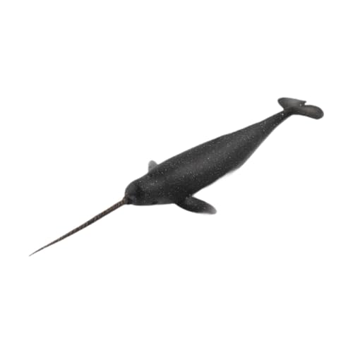 Colcolo Simulationswale Modellfiguren Sammlige Figuren wissenschaftliche Bildungsspielzeug Marine Life Model Tierfiguren für Kinder Colcolo Simulationswale Modellfiguren Sammlige Figuren wissenschaftliche Bildungsspielzeug Marine Life Model Tierfiguren für Kinder von Colcolo
