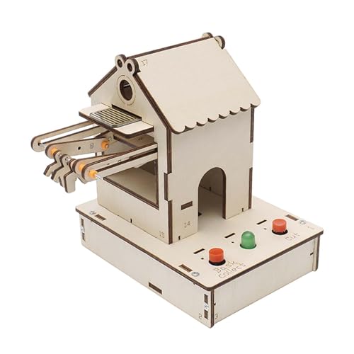 Colcolo Wissenschaftliches Experiment-Spielzeug, DIY-Mehrzweck-Puzzle-Spielzeug, langlebiges DIY-intelligentes Wäscheständer-Holz für Kinder, Erwachsene, von Colcolo