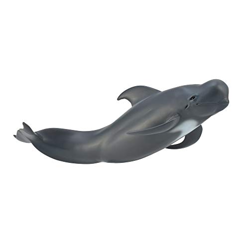 Collecta – 3388613 – Figur – Meerestiere – baleine-Pilote Collecta – 3388613 – Figur – Meerestiere – baleine-Pilote von Collecta